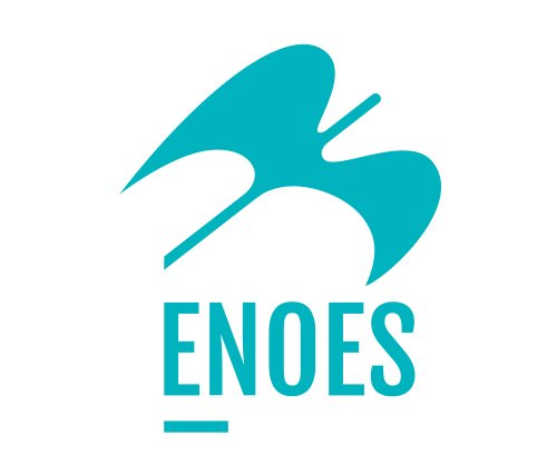 logo Enoes